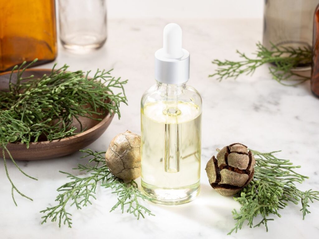 cypress leaves on table with bottle of cypress oil