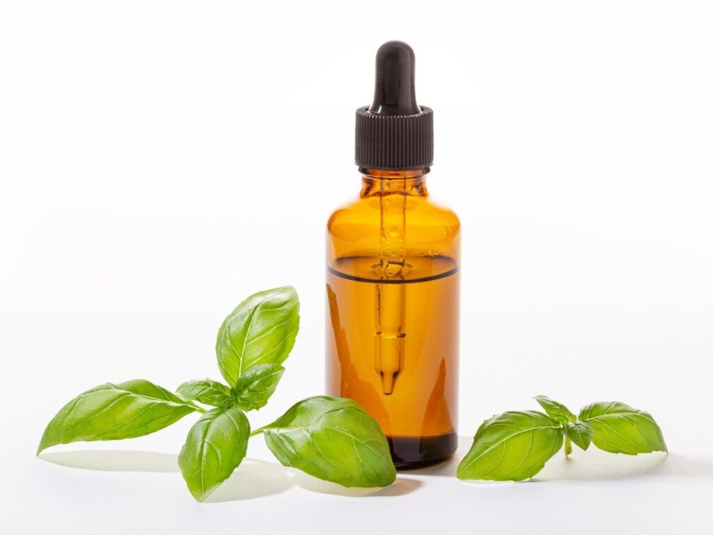 basil essential oil bottle with basil leaves on table