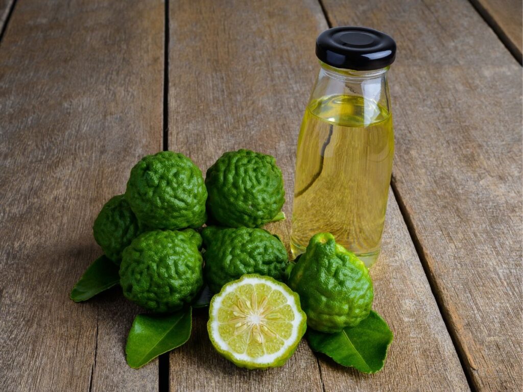 bargamot essential oil bottle with bargamot fruit next to it