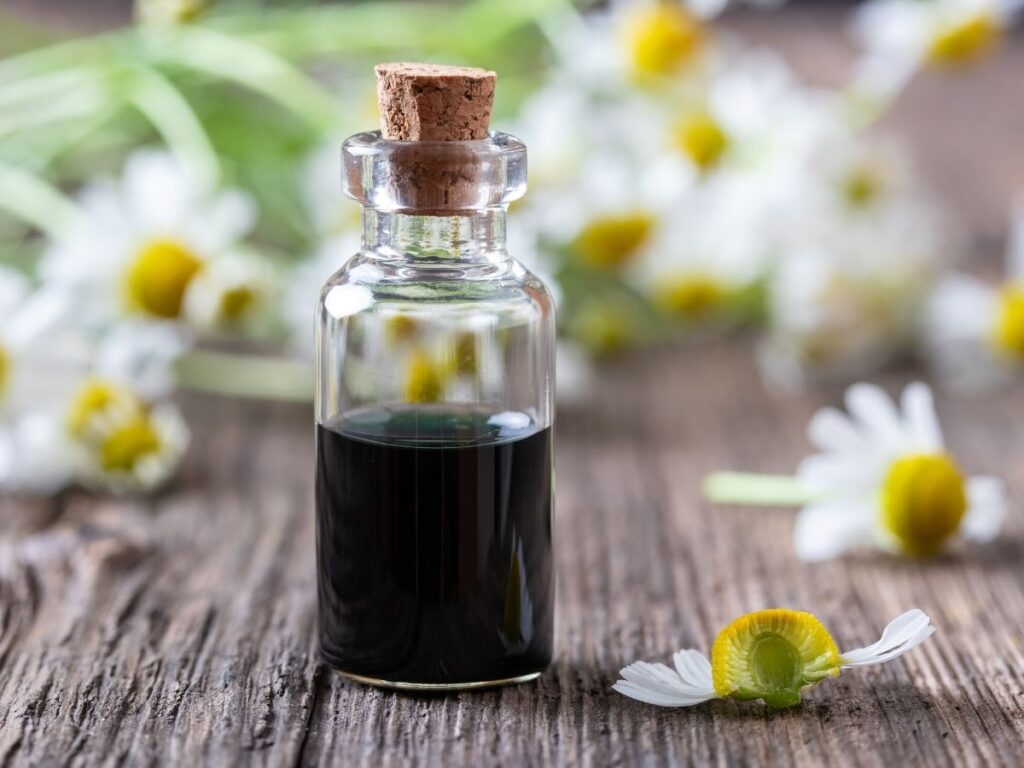 chamomile essential oil with chamomile flowers on table