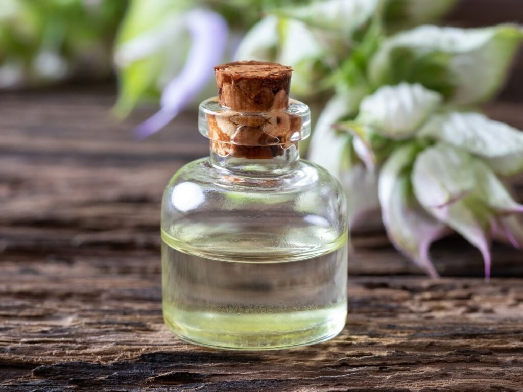 Clary sage leaves on table with sage oil in bottle