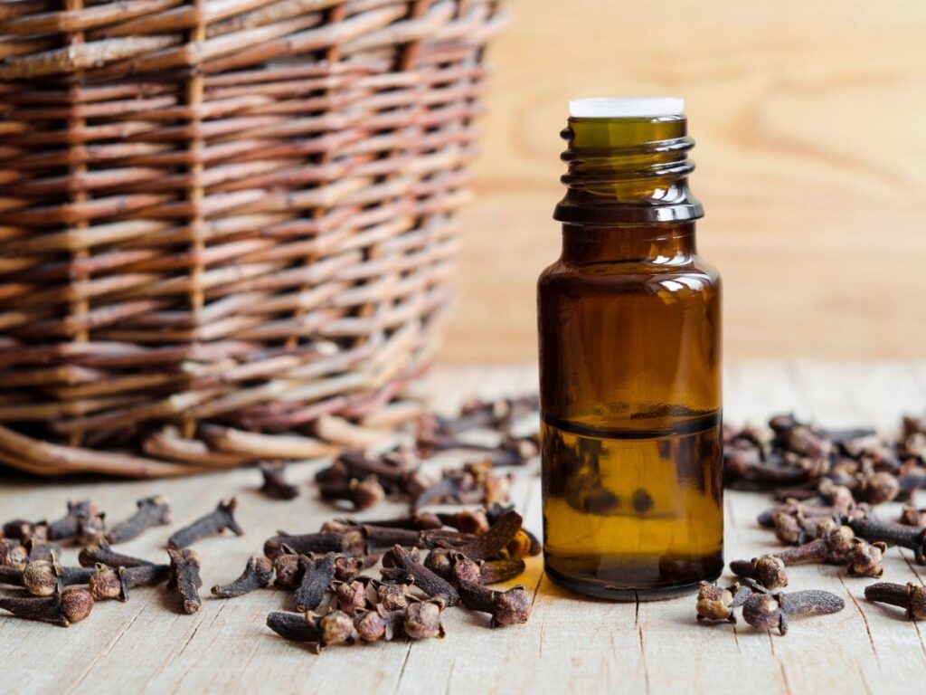 clove essential oil bottle with clove scattered on table