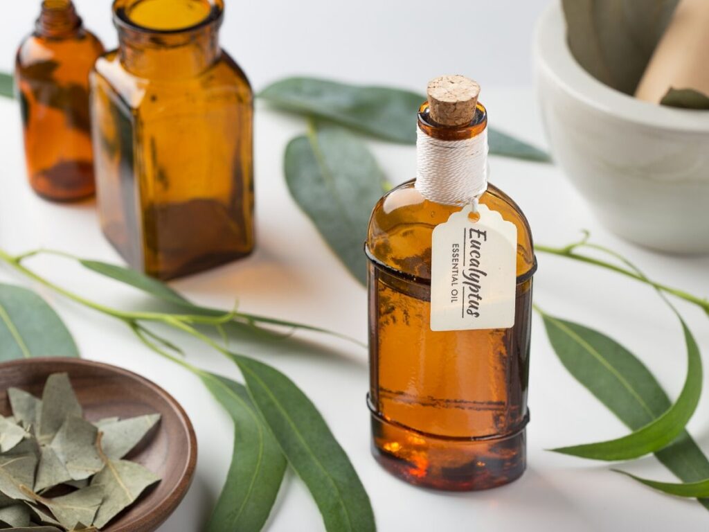 Eucalyptus leaves next to bottle of eucalyptus oil