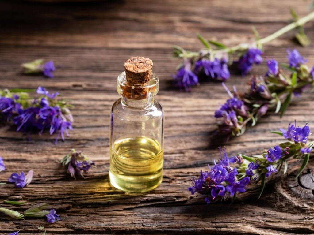 hyssop essential oil with hyssop flowers on table