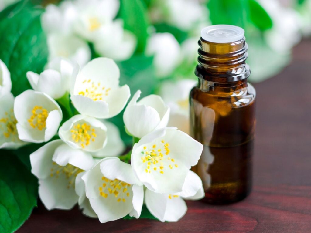 jasmine essential oil bottle with white jasmine flowers on table