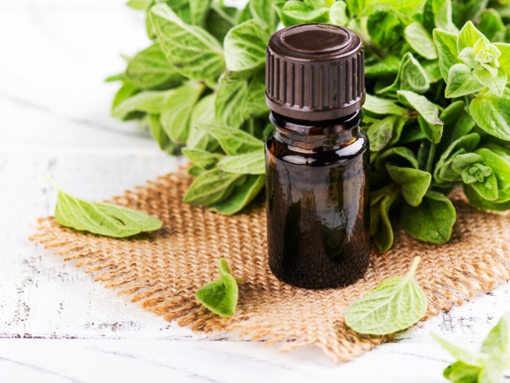 oregano essential oil in bottle with oregano leaves on table