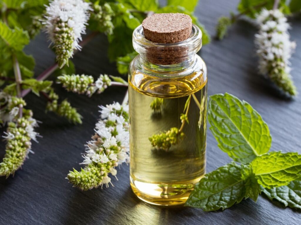 peppermint essential oil bottle with peppermint leaves on table