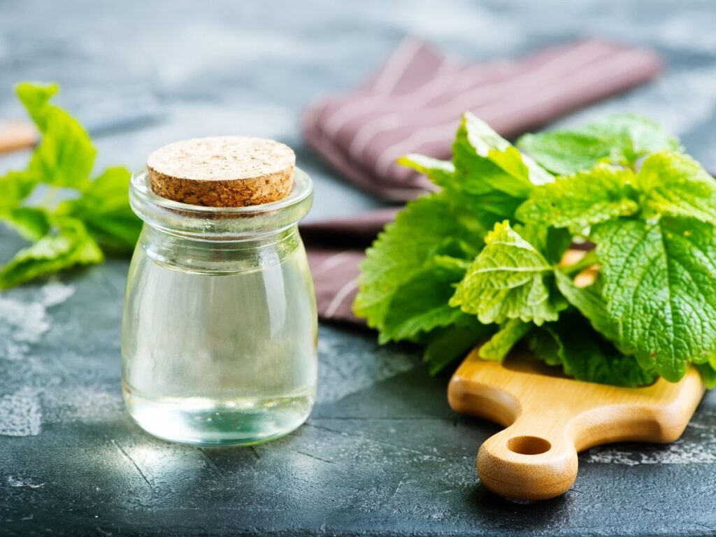 spearmint essential oil with spearmint leaves on table