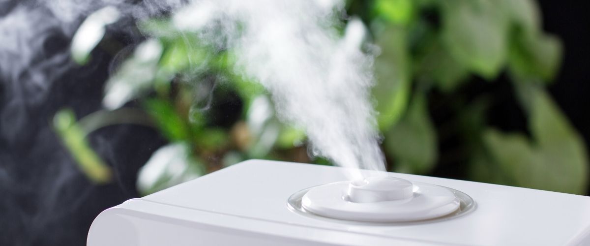 Essential Oil Diffuser vs. humidifier