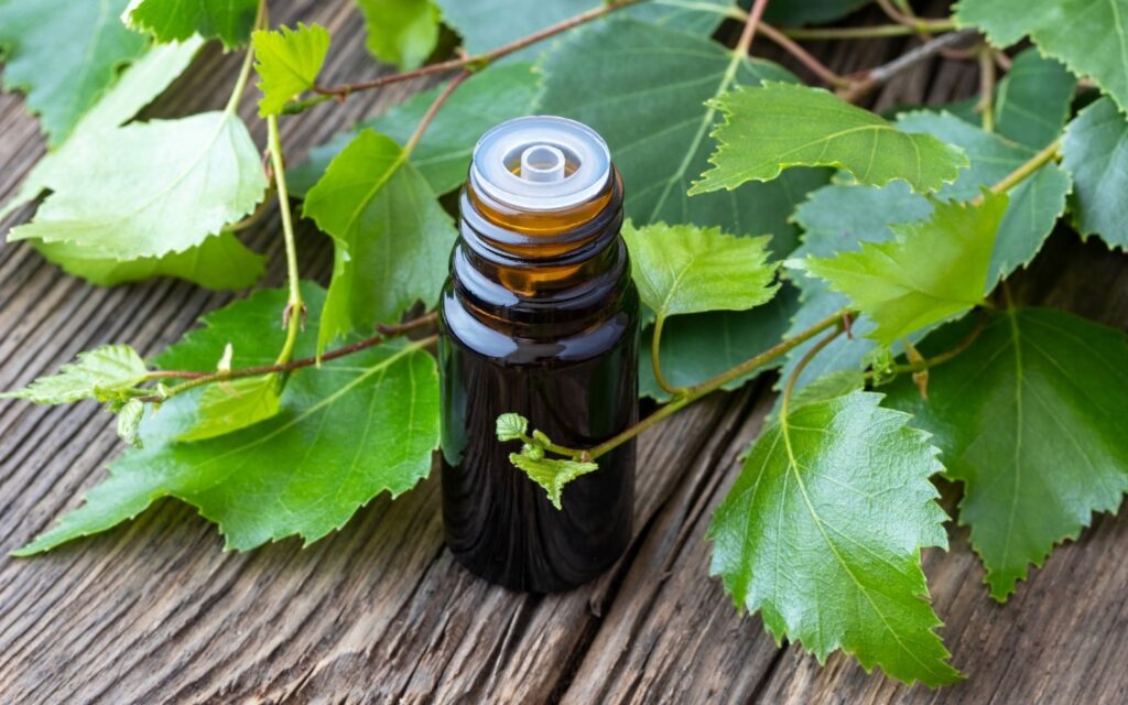 birch essential oil bottle on a table.