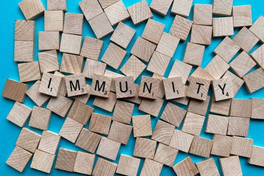Block tiles on blue background spelling "immunity".