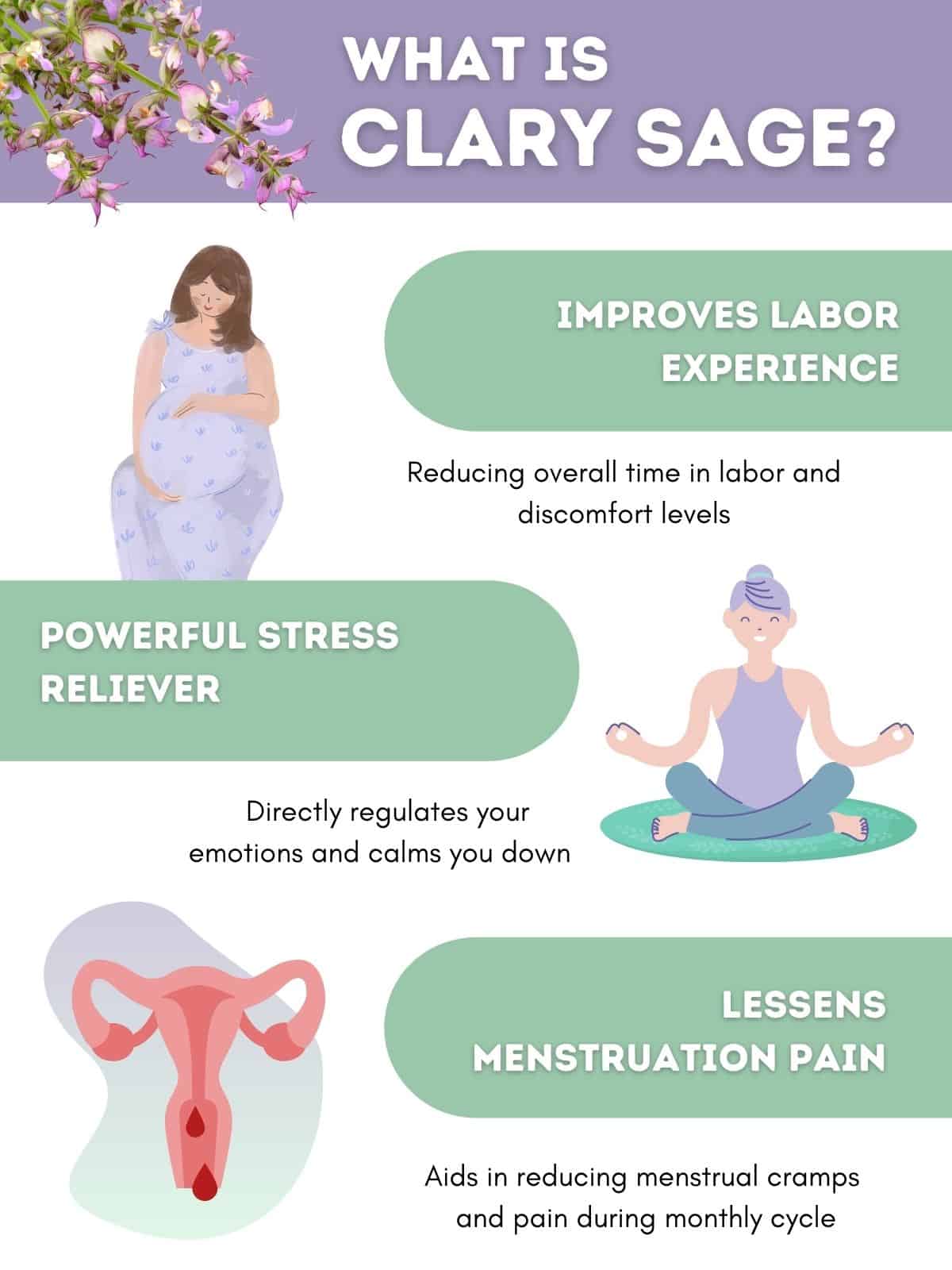 Graphic explaining what clary sage is and its benefits.