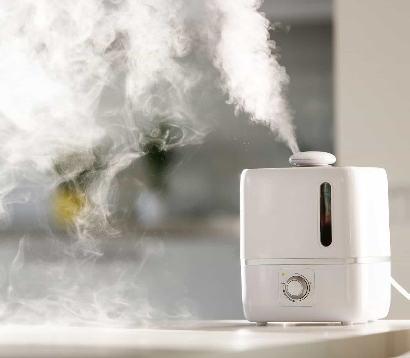 An air purifier and humidifier on table.