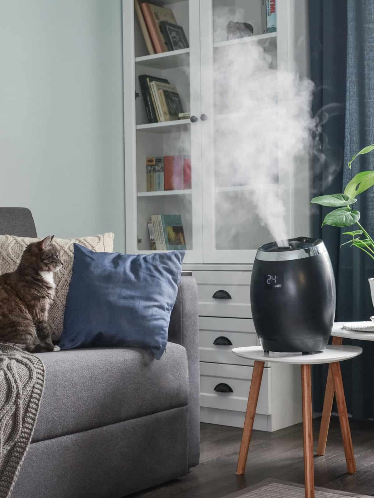 A diffuser diffusing essential oils in the living room.
