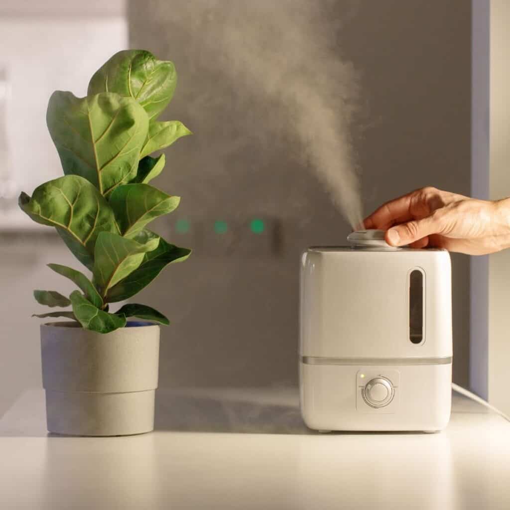 Best way to humidify deals your home