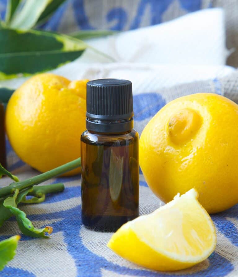 Top 5 Essential Oils For your classroom